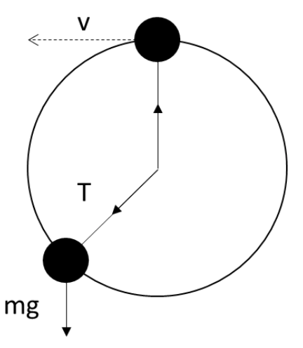 ENGAA Section 1B Physics Question 2 Momentum Diagram