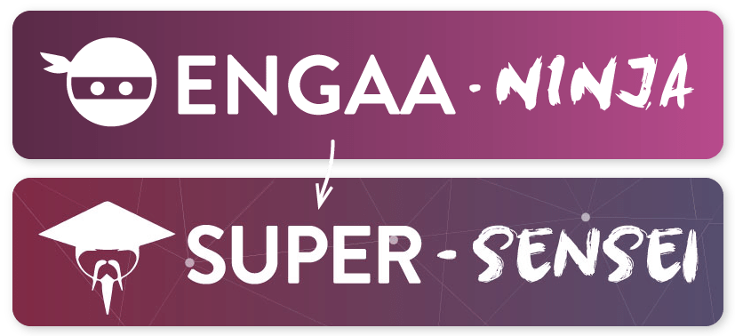 ENGAA - Ninja / Super Sensei