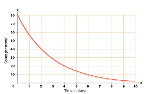 Exponential Decay Graph