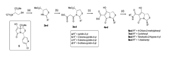 Diagram - Synthesis of tetramate analogues from L-cysteine with heterocyclic rings