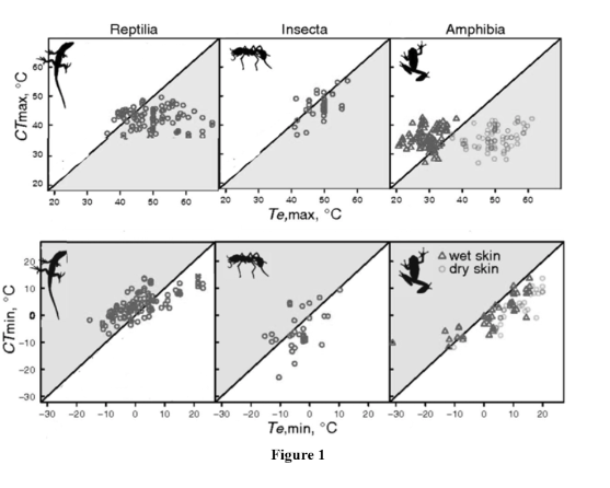 Graphs - Reptilia, Insecta and Amphibia cold tolerance vs minimum operative temparature