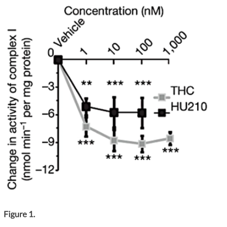 Graph - Concentration (nM) vs Change in activity of complex I (nmol min-1 per mg protien)