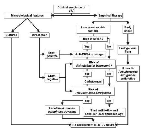 GAMSAT Section 1 Diagram Example - Ventilator Acquired Pneumonia